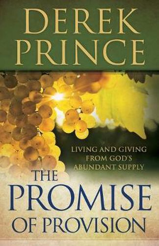 Cover image for The Promise of Provision - Living and Giving from God"s Abundant Supply