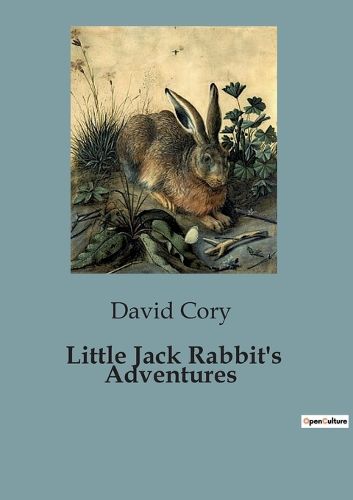 Cover image for Little Jack Rabbit's Adventures