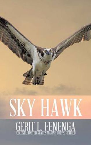 Cover image for Sky Hawk