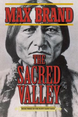 Cover image for The Sacred Valley: Book Three of the Rusty Sabin Saga