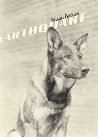 Cover image for Earthquake