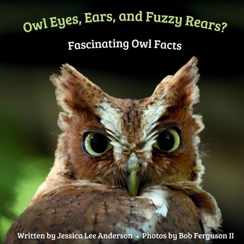 Cover image for Owl Eyes, Ears, and Fluffy Rears?