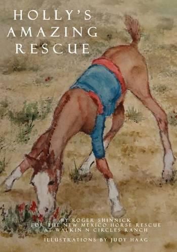 Cover image for Holly's Amazing Rescue