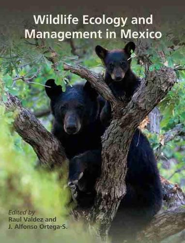 Cover image for Wildlife Ecology and Management in Mexico