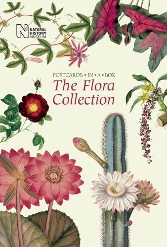 Cover image for Flora Collection Postcards In A Box