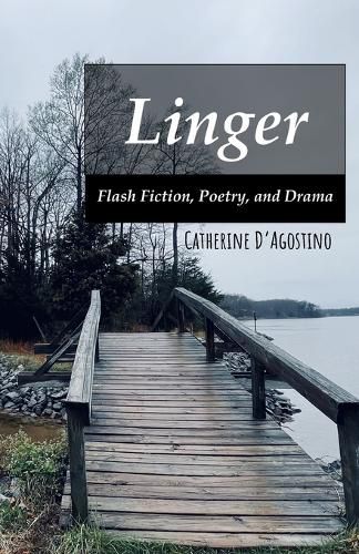 Cover image for Linger