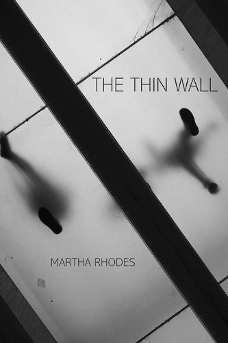 Cover image for Thin Wall, The