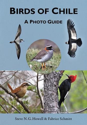 Cover image for Birds of Chile: A Photo Guide