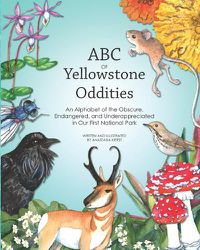 Cover image for ABC OF Yellowstone Oddities