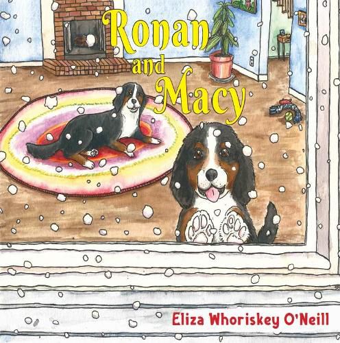 Cover image for Ronan and Macy