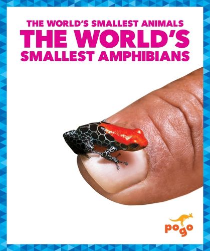 Cover image for The World's Smallest Amphibians