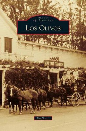 Cover image for Los Olivos