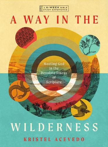 Cover image for A Way in the Wilderness