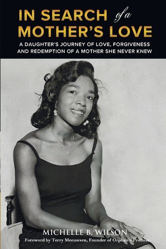 Cover image for In Search of a Mother's Love