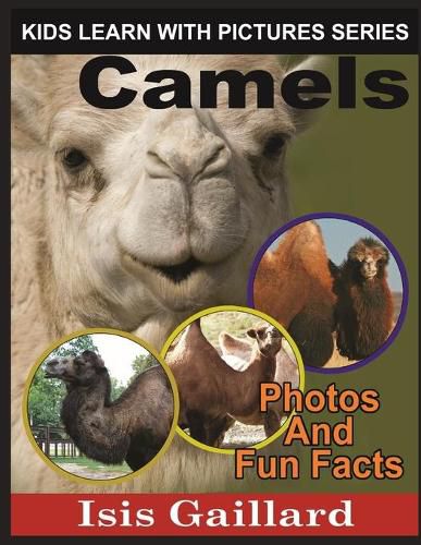 Cover image for Camels: Photos and Fun Facts for Kids