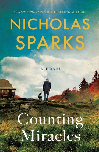 Cover image for Counting Miracles