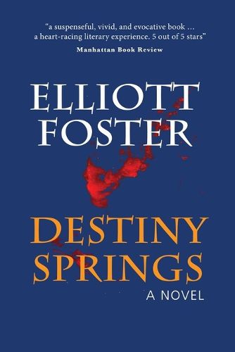 Cover image for Destiny Springs