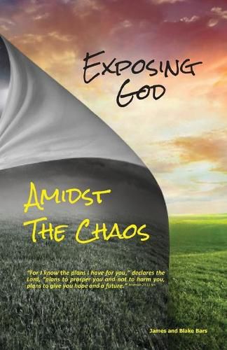 Cover image for Exposing God Amidst the Chaos