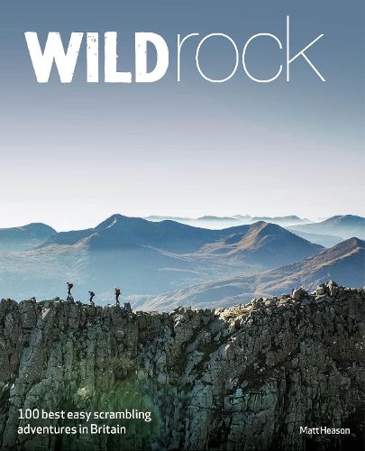 Cover image for Wild Rock