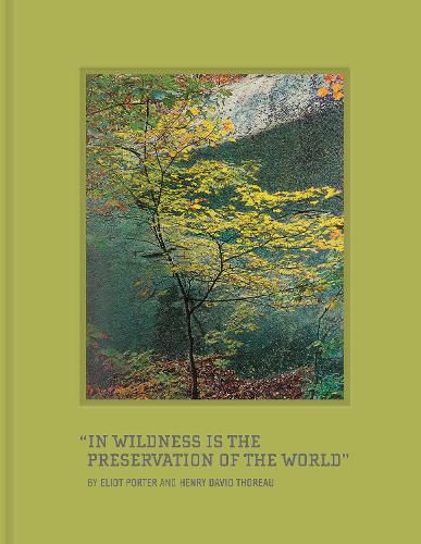 Cover image for In Wildness