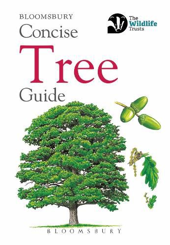 Cover image for Concise Tree Guide