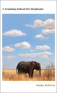 Cover image for A Training School for Elephants