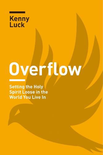 Cover image for Overflow