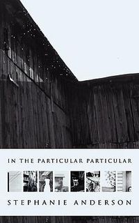 Cover image for In the Particular Particular