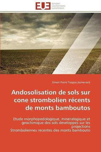 Cover image for Andosolisation de Sols Sur Cone Strombolien R Cents de Monts Bamboutos