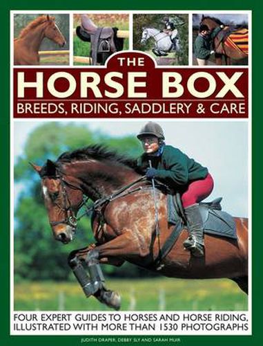 Cover image for Horse Box: Breeds, Riding, Saddlery & Care