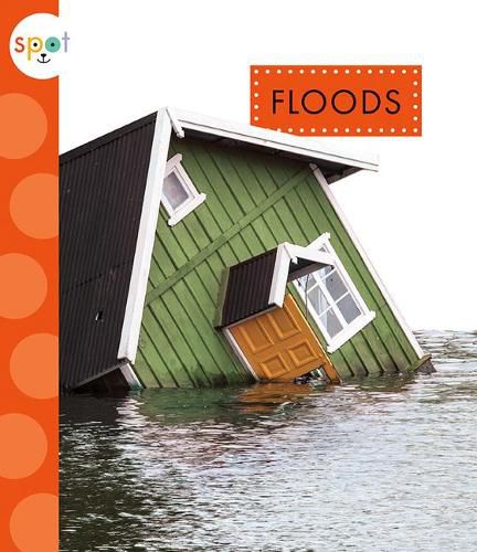 Cover image for Floods