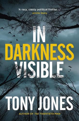 Cover image for In Darkness Visible