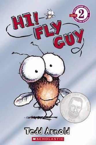Hi Fly Guy