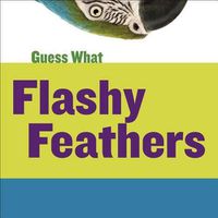 Cover image for Flashy Feathers: Macaw