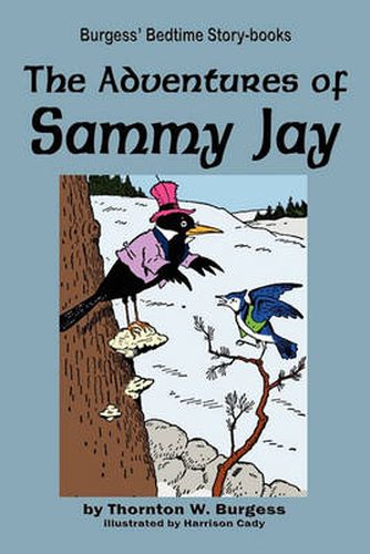 Cover image for The Adventures of Sammy Jay