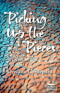 Cover image for Picking Up the Pieces