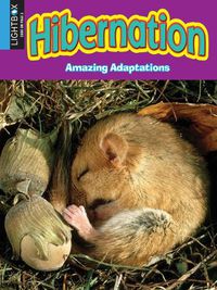 Cover image for Hibernation