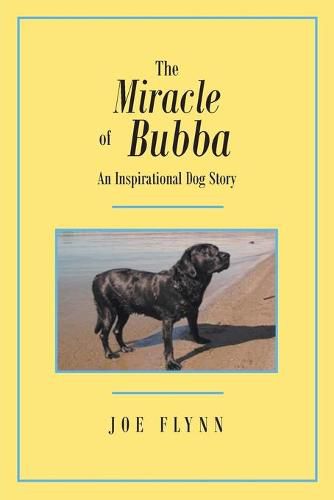 Cover image for The Miracle of Bubba