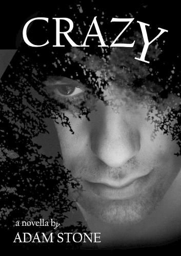 Cover image for CRAZY