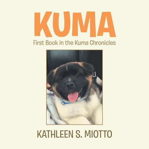 Cover image for Kuma