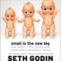 Cover image for Small Is the New Big: And Other Riffs, Rants, and Remarkable Business Ideas