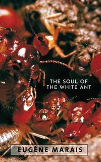 Cover image for The Soul of the White Ant