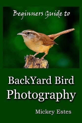 Cover image for Beginners Guide To Backyard Bird Photography