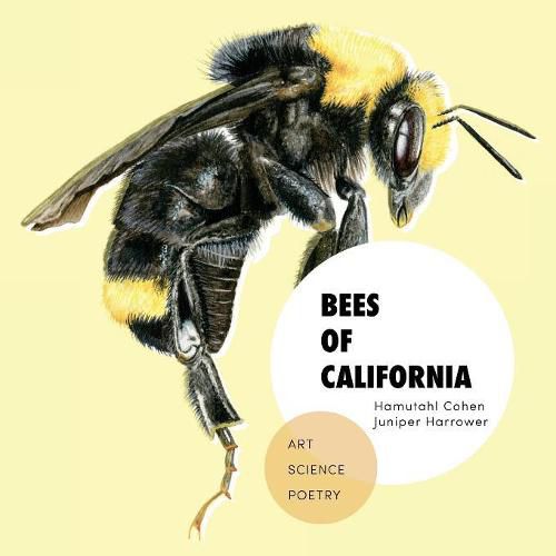 Cover image for Bees of California: Art, Science, and Poetry