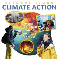 Cover image for Climate Action: What Happened and What We Can Do