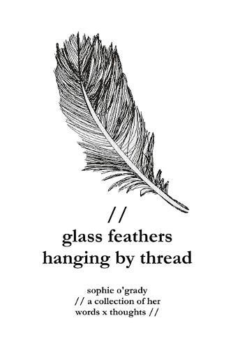 Cover image for glass feathers hanging by thread