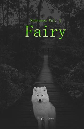 Cover image for Fairy