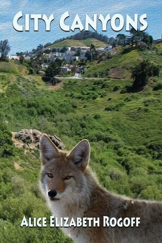 Cover image for City Canyons