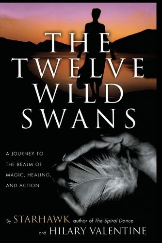 Cover image for The Twelve Wild Swans