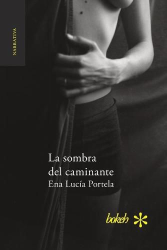 Cover image for La sombra del caminante